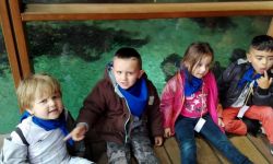 Clsh Ete 2016   270